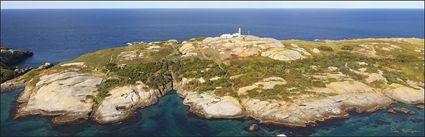 Montague Island - NSW (PBH4 00 9637)